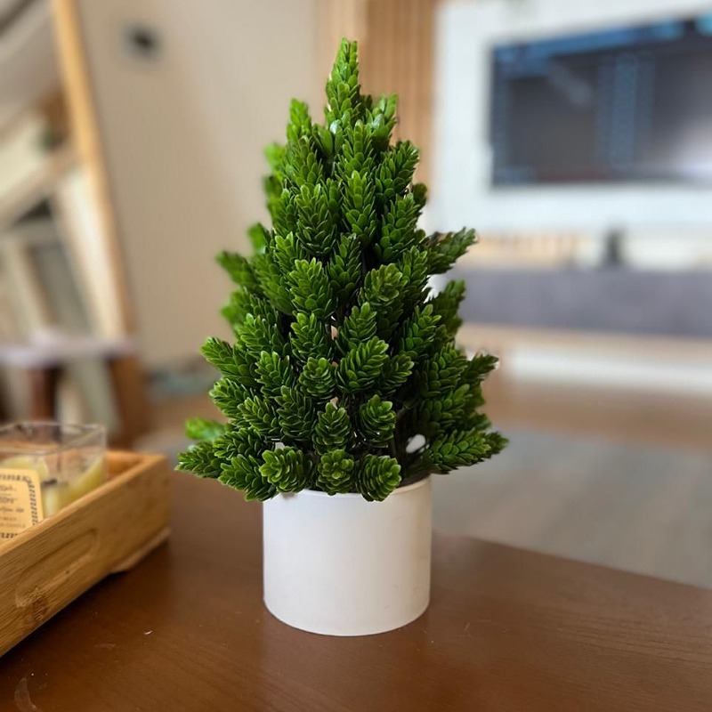 گلدان کاج مصنوعی